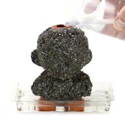 Kidrobot X Chia Pet MunnyWorld 5
